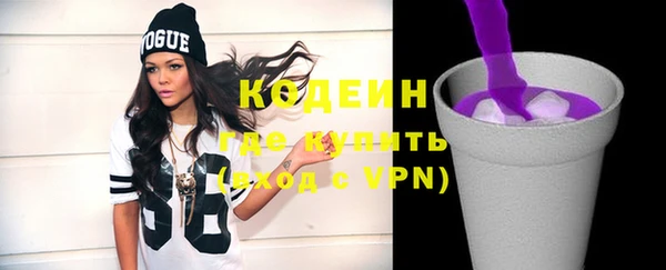 шишки Сосновка