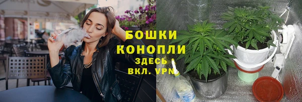 Альфа ПВП Лиски